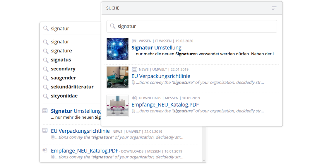Suchfunktion