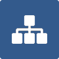 Organigramm