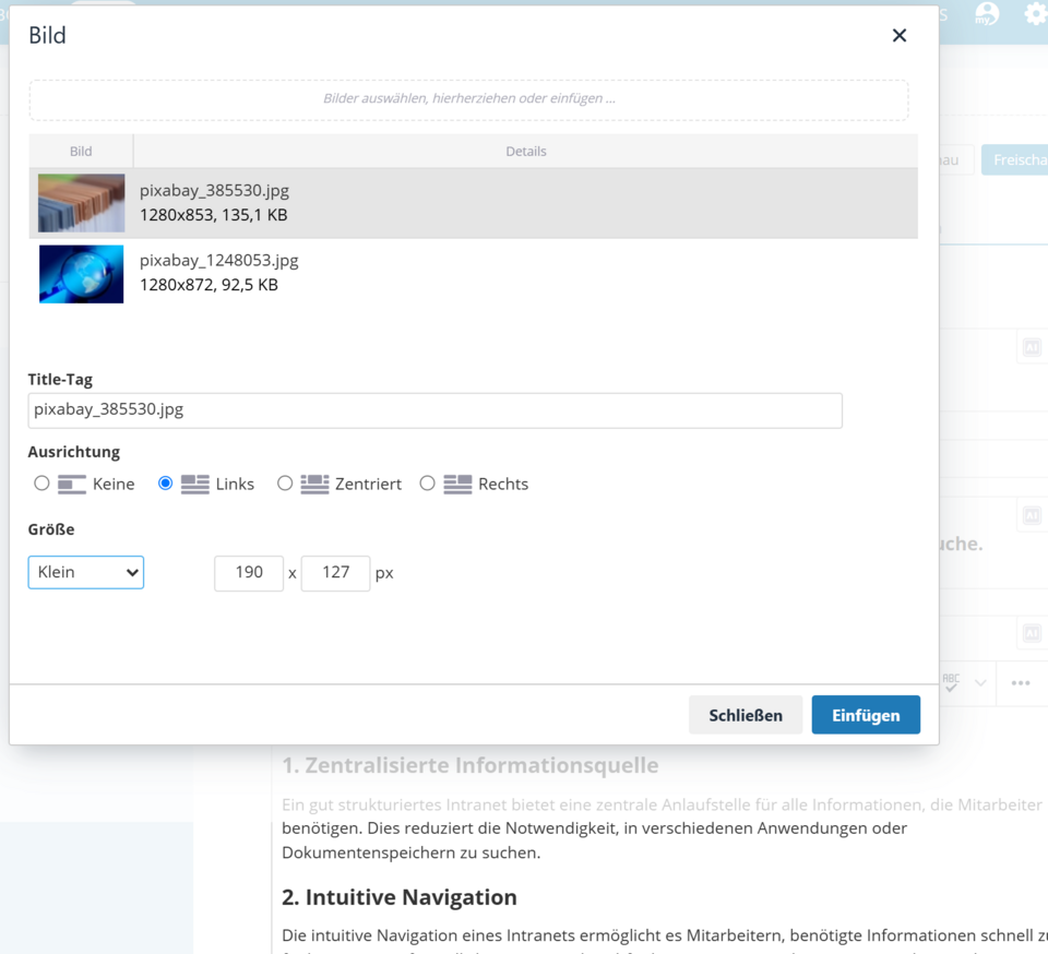 Medienauswahl und Bildoptionen Auswahlfenster für Bilder mit Einstellungen zur Größe, Ausrichtung und Alternativtext
