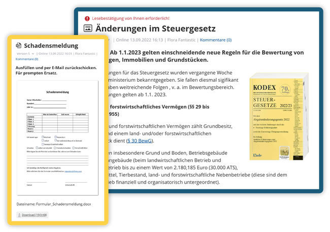 Darstellung von Wissen & Know-how in Kencube